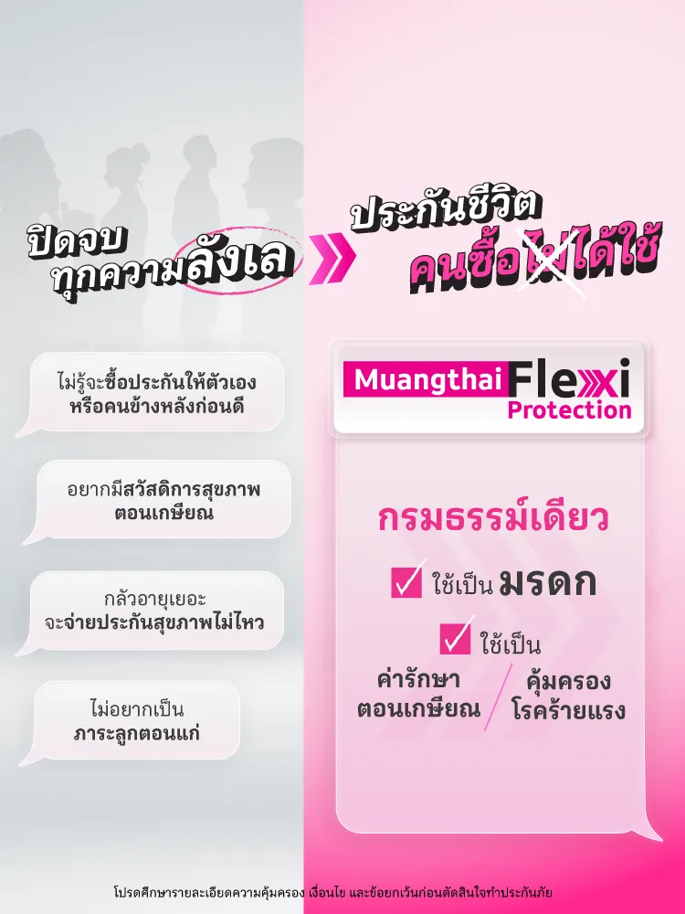 [cam Flexi Nd] Ads Nadech Solution No Presenter Webbanner Mb Th